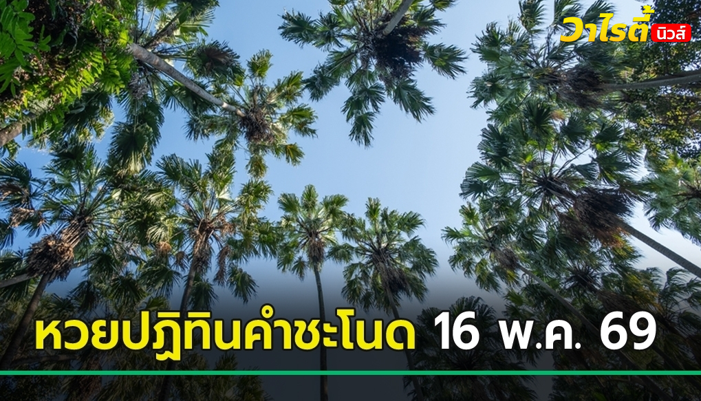 มาแล้ว ! หวยปฏิทินคำชะโนด เลขเด็ดงวดนี้ 16 พ.ค. 69 จัดเต็มทั้ง 2-3 ตัว