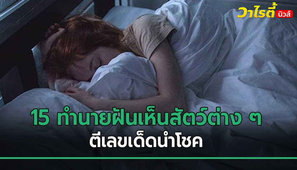 อย่าพลาด 15 ทำนายฝันเห็นสัตว์ต่าง ๆ พร้อมตีเลขเด็ดนำโชคงวด 1/06/69