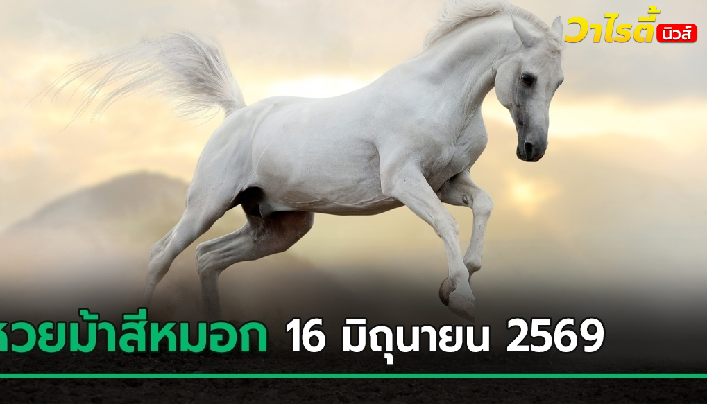 ส่องเลขเด็ดงวดนี้ 16 มิ.ย. 69 หวยม้าสีหมอก ปล่อยเลขเด่น-รอง ครบชุด