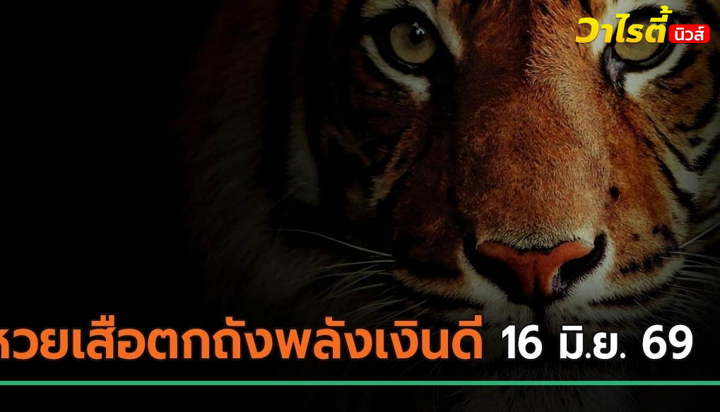 มาแล้ว ! หวยเสือตกถังพลังเงินดี ปล่อยเลขเลขเด็ดงวดนี้ 16 มิ.ย. 69 ก่อนวันหวยออก