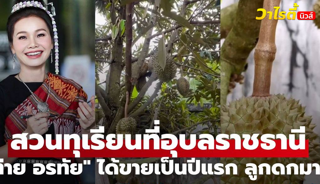 “ต่าย อรทัย” เปิดภาพสวนทุเรียนที่อุบลราชธานี ได้ขายเป็นปีแรก ลูกดกมาก