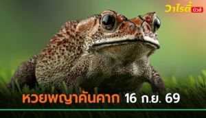 จับตา ! หวยพญาคันคาก เลขเด็ดงวดนี้ 16 ก.ย. 69 มีทั้งเลขเด่น-เลขท้าย 2 ตัว ให้ตาม