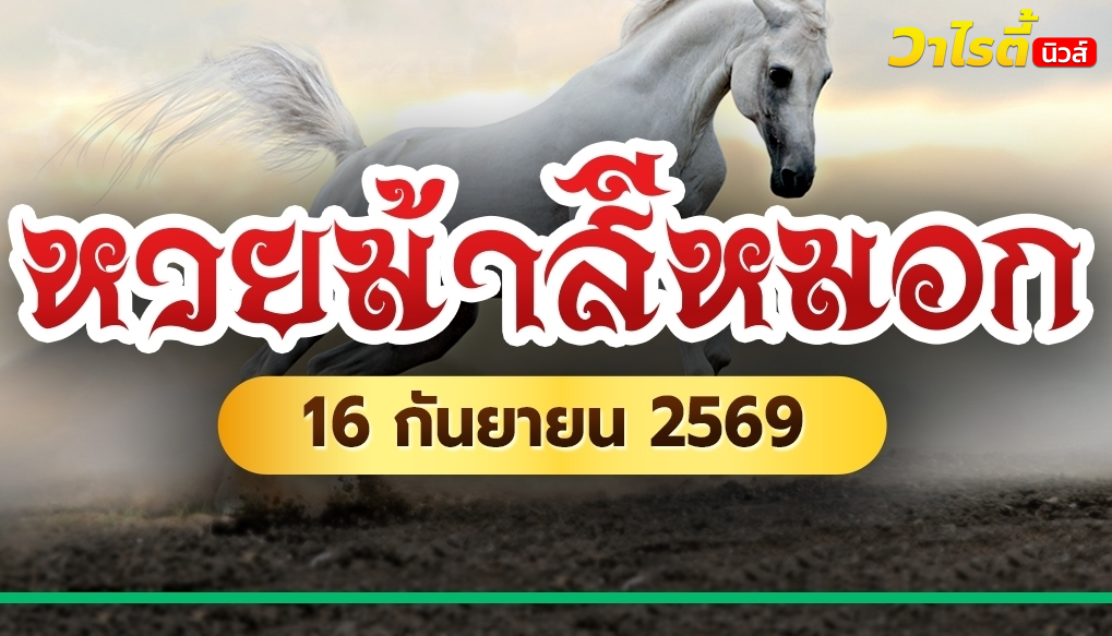 สายวิ่งต้องจด ! ม้าสีหมอก เลขเด็ดงวดนี้ 16 ก.ย. 69 วิ่งบน 4 วิ่งล่าง 0 พร้อมเลขชุดเน้น ๆ